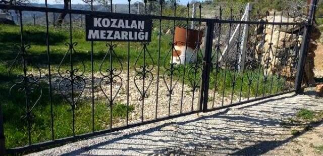 Ankara'da 5 çocuk annesi kadın, ayı saldırısında hayatını kaybetti.