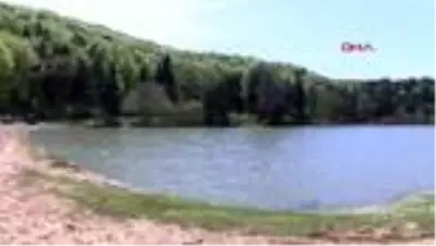 Bolu'da yayla ve ormanlık alanlara ilgi arttı Bolu'da yayla ve ormanlık alanlara ilgi arttı