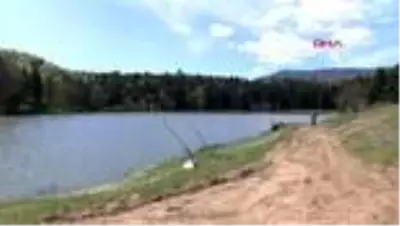 Bolu'da yayla ve ormanlık alanlara ilgi arttı Bolu'da yayla ve ormanlık alanlara ilgi arttı