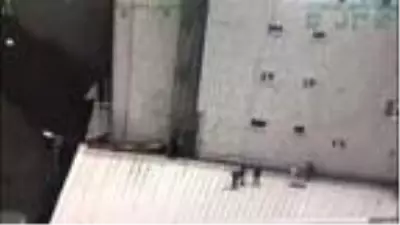 Grup Yorum üyesi İbrahim Gökçek'in cenazesinde yaşanan olaylar kamerada Grup Yorum üyesi İbrahim Gökçek'in cenazesinde yaşanan olaylar kamerada