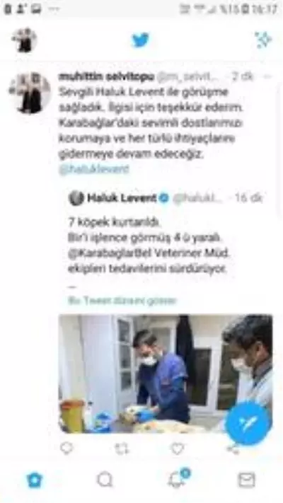 Sahibinin şiddet uyguladığı 7 yavru köpeğe, AHBAP sahip çıktı Sahibinin şiddet uyguladığı 7 yavru köpeğe, AHBAP sahip çıktı