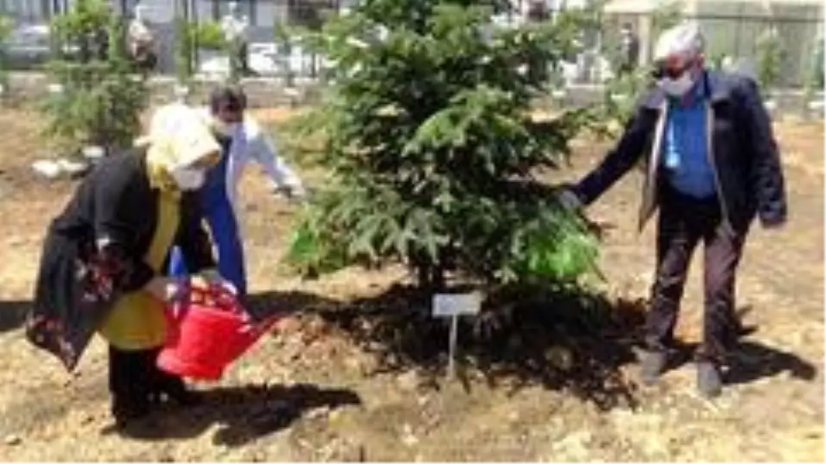 Sancaktepe'de 400 sağlık çalışanı annenin adına Sahra Hastanesi'ne fidan dikildi