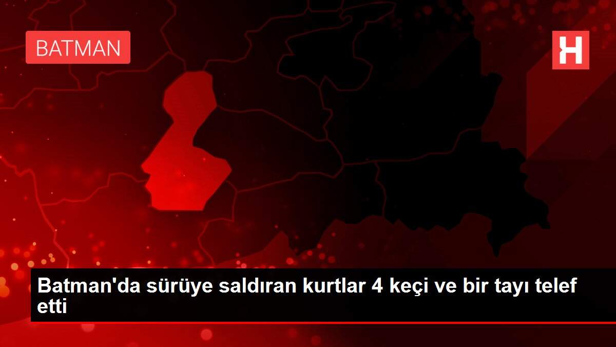 Batman'da sürüye saldıran kurtlar 4 keçi ve bir tayı telef etti
