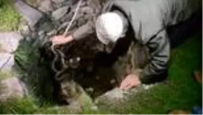 Kuyudan çıkarılan köpek ikinci kez düştüğü kuyudan da kurtarıldı Kuyudan çıkarılan köpek ikinci kez düştüğü kuyudan da kurtarıldı