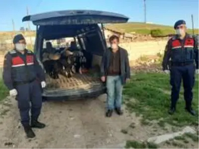 Kuzular ile çalınan annelerini jandarma kavuşturdu Kuzular ile çalınan annelerini jandarma kavuşturdu