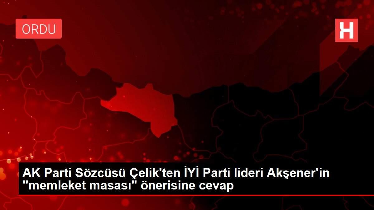 AK Parti Sözcüsü Çelik'ten İYİ Parti lideri Akşener'in AK Parti Sözcüsü Çelik'ten İYİ Parti lideri Akşener'in