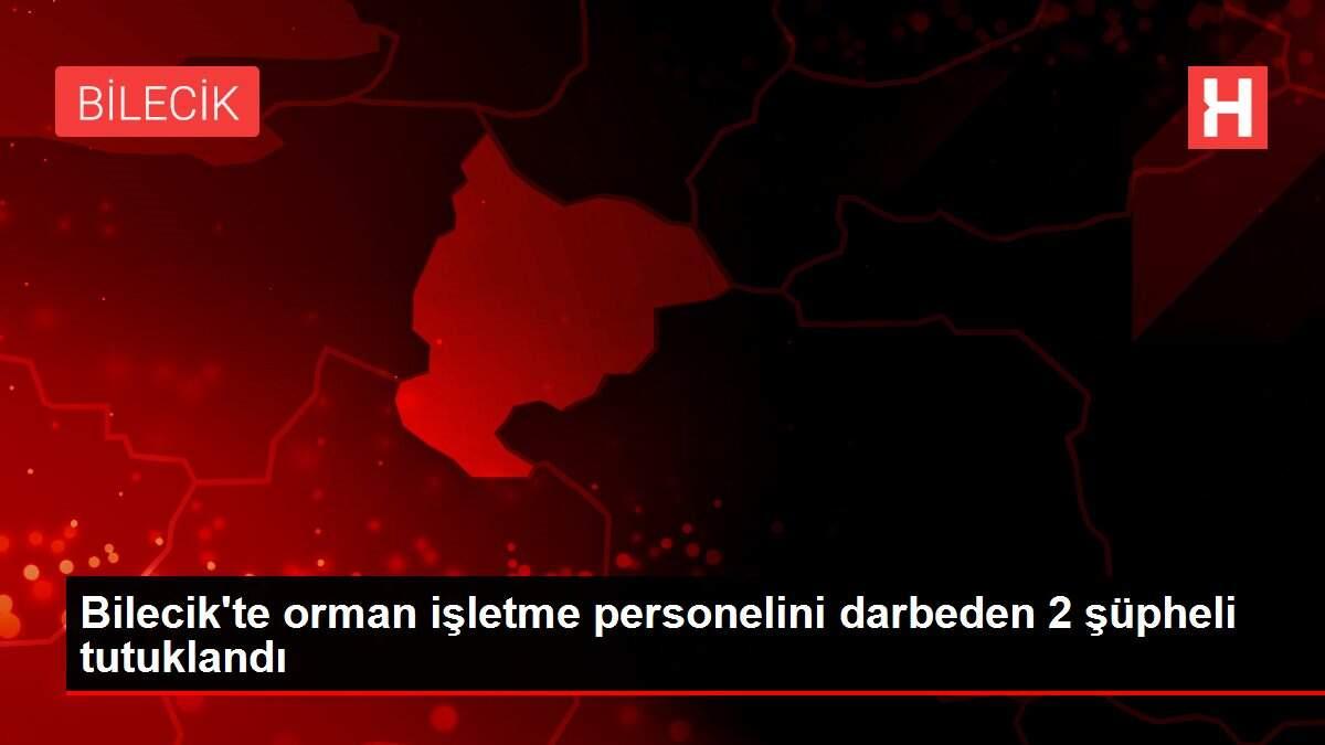 Bilecik'te orman işletme personelini darbeden 2 şüpheli tutuklandı