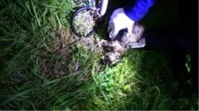 İtfaiyeden insanlık dersi: Ölmek üzere olan köpeği masajla kurtardılar