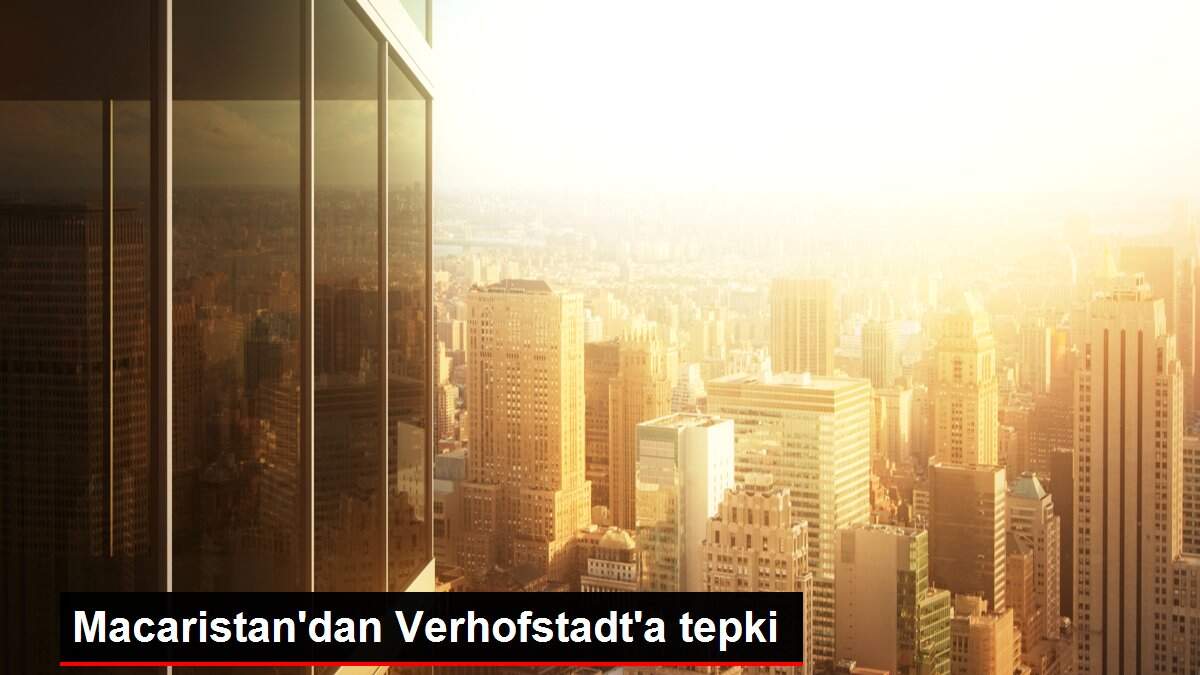 Macaristan'dan Verhofstadt'a tepki