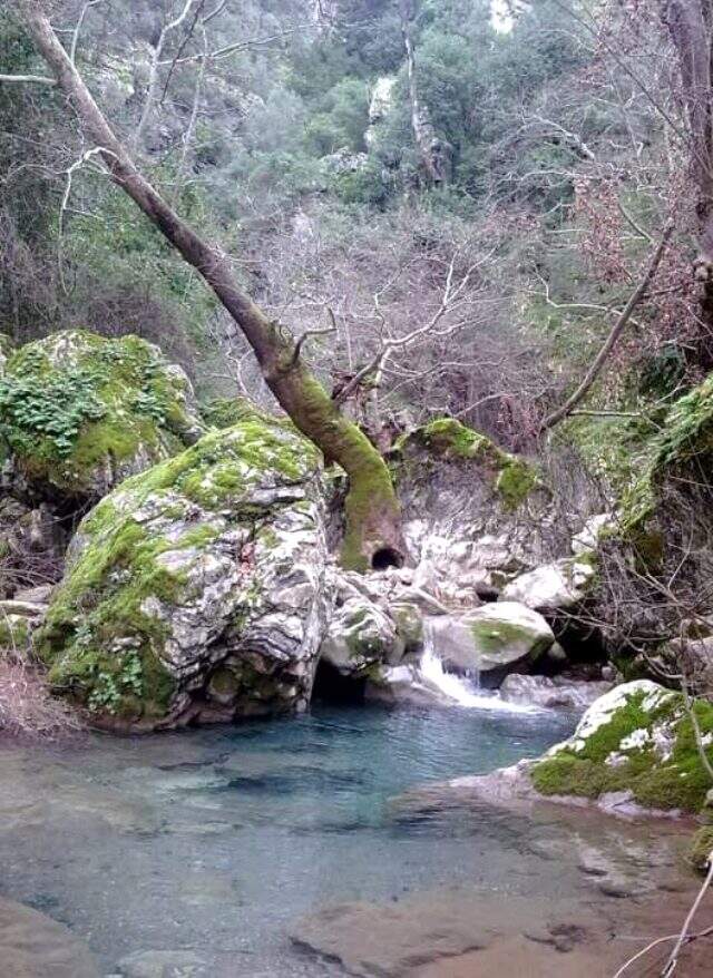 Marmaris İçmeler'deki kanyondaki doğa tahribatını ilçenin gençleri temizlemeye çalıştı Marmaris İçmeler'deki kanyondaki doğa tahribatını ilçenin gençleri temizlemeye çalıştı