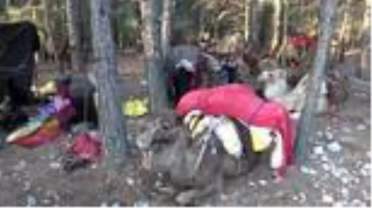 MERSİN Yörüklerin 20 gün sürecek yaz göçü başladı