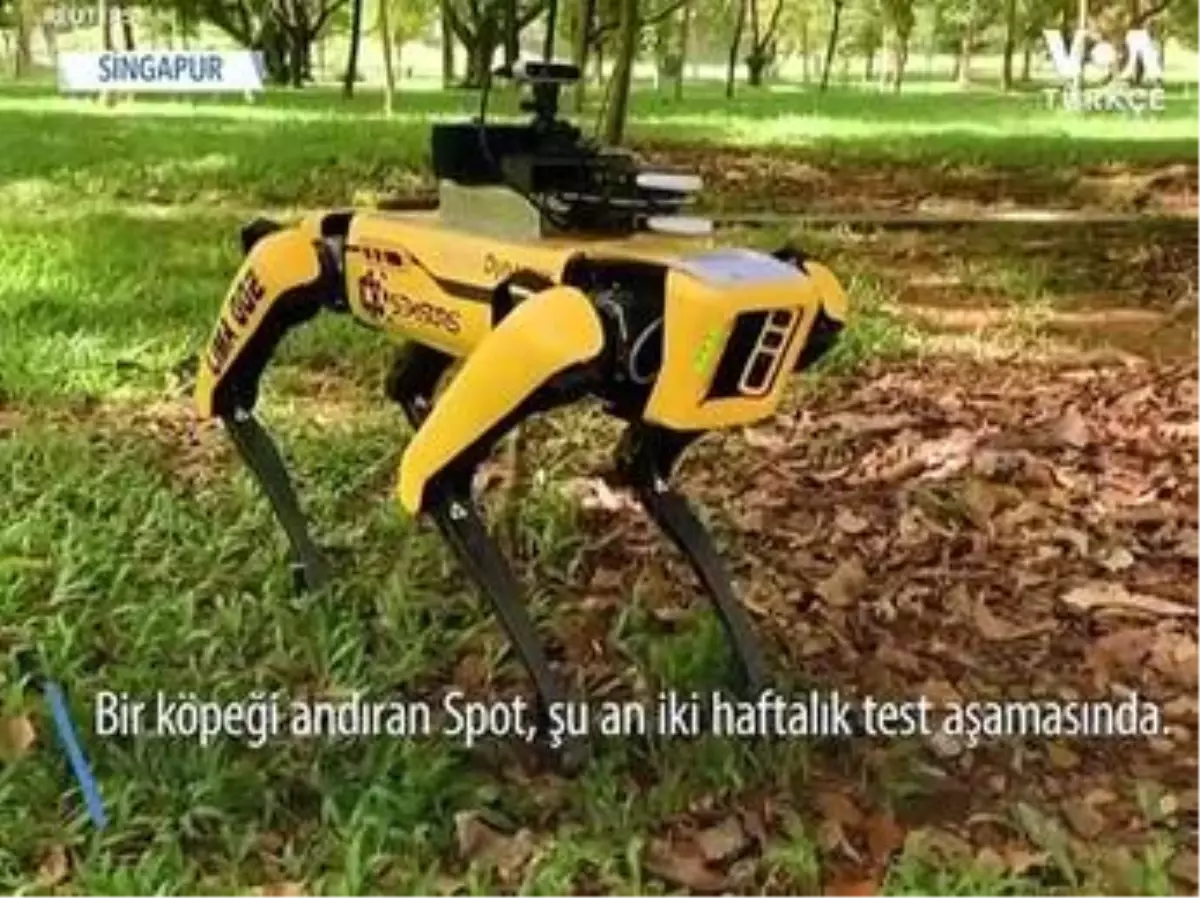 Spot Singapur'da Sosyal Mesafe Uyarıları Yapıyor