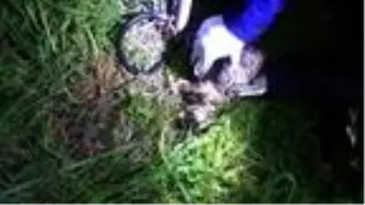 Su kuyusuna düşen yavru köpek, masajla hayata döndürüldü