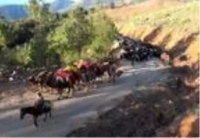Yörüklerin 20 gün sürecek yaz göçü başladı Yörüklerin 20 gün sürecek yaz göçü başladı