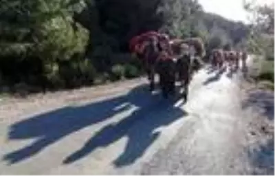 Yörüklerin 20 gün sürecek yaz göçü başladı Yörüklerin 20 gün sürecek yaz göçü başladı