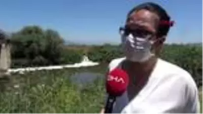 AYDIN 'Büyük Menderes Nehri'nde kirlilik dördüncü aşamada? AYDIN 'Büyük Menderes Nehri'nde kirlilik dördüncü aşamada?