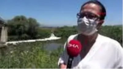 AYDIN 'Büyük Menderes Nehri'nde kirlilik dördüncü aşamada? AYDIN 'Büyük Menderes Nehri'nde kirlilik dördüncü aşamada?