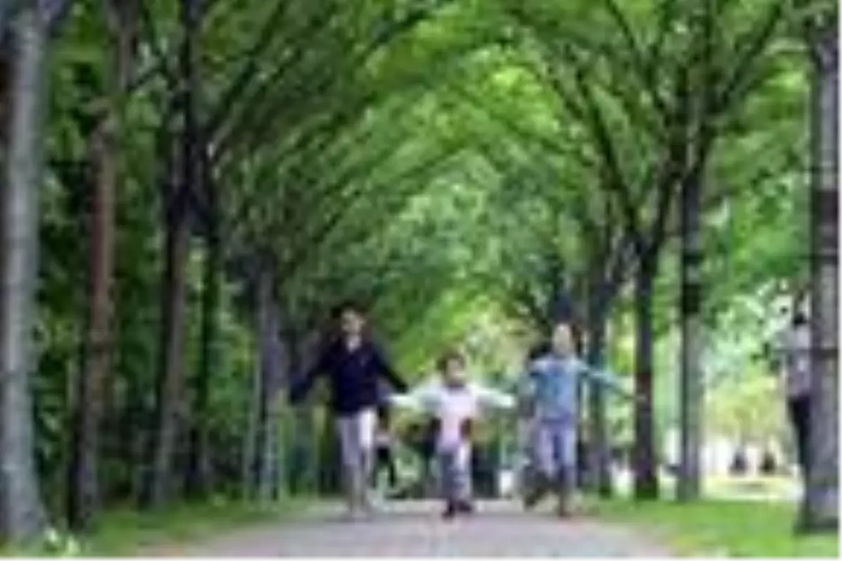 Bağcılar'da parklar bayram yerine döndü