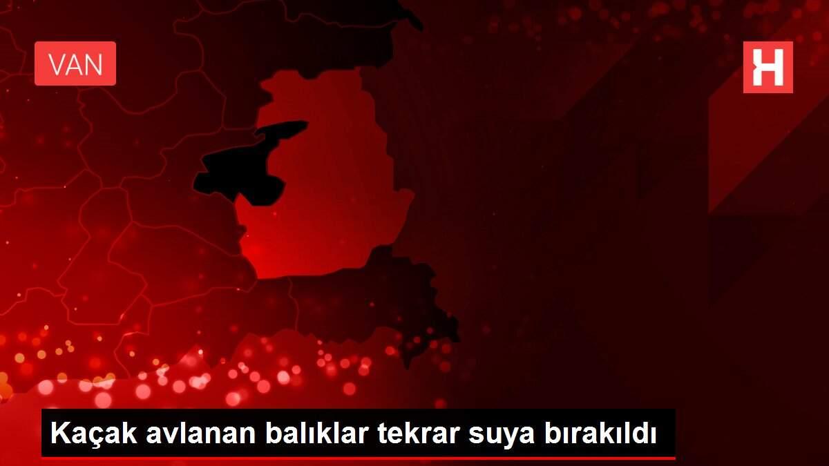 Kaçak avlanan balıklar tekrar suya bırakıldı