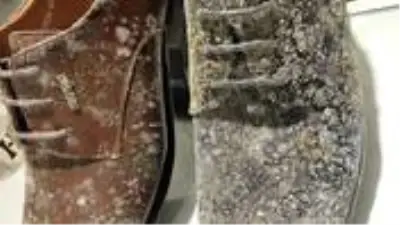 Koronavirüs nedeniyle kapalı olan mağazadaki deri ayakkabı ve çantalar küflendi