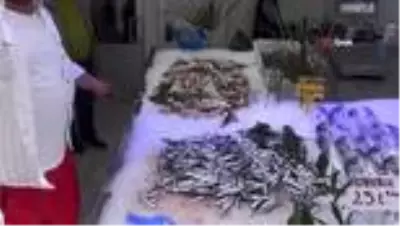 Sinop'ta hamsi sürpriz yaptı Sinop'ta hamsi sürpriz yaptı