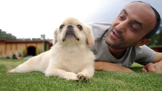 Köpeğinin öldüğünü öğrenen Ersin Korkut'tan ilk paylaşım: Acı günde böyle sevgi görmek çok güzel