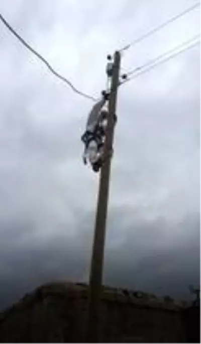 VEDAŞ'tan karantinadaki aileye enerji hizmeti VEDAŞ'tan karantinadaki aileye enerji hizmeti