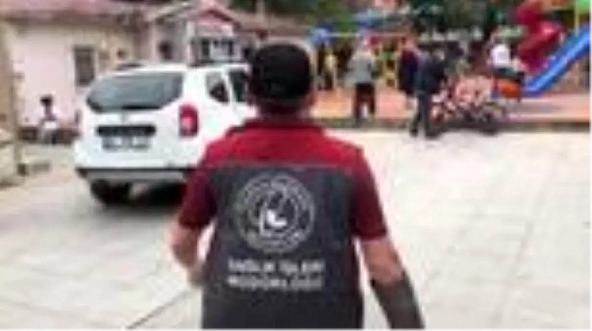 Ağaçtan düşen yavru karga için belediye ekipleri seferber oldu