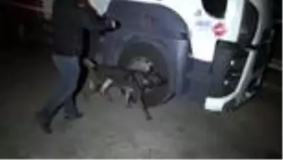 Diyarbakır'da 327 kilo 700 gram esrar ele geçirildi Diyarbakır'da 327 kilo 700 gram esrar ele geçirildi