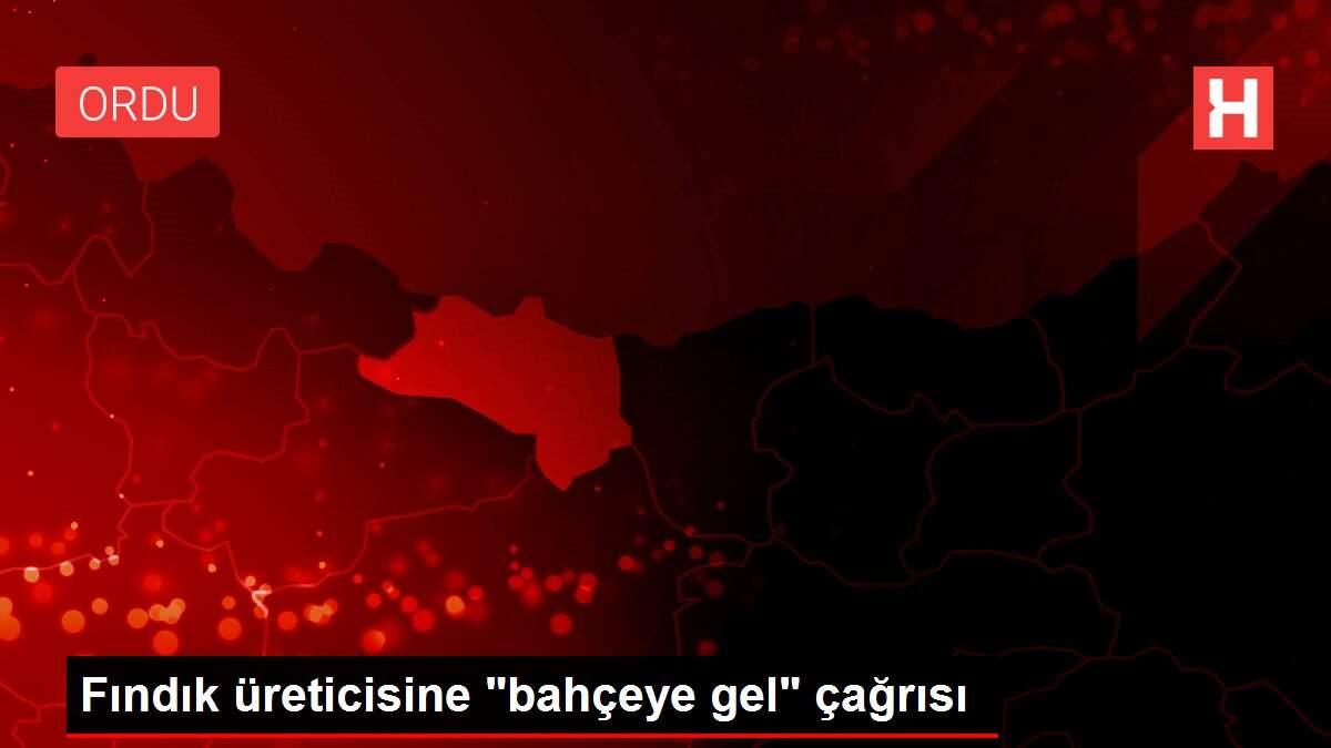 Fındık üreticisine 'bahçeye gel' çağrısı
