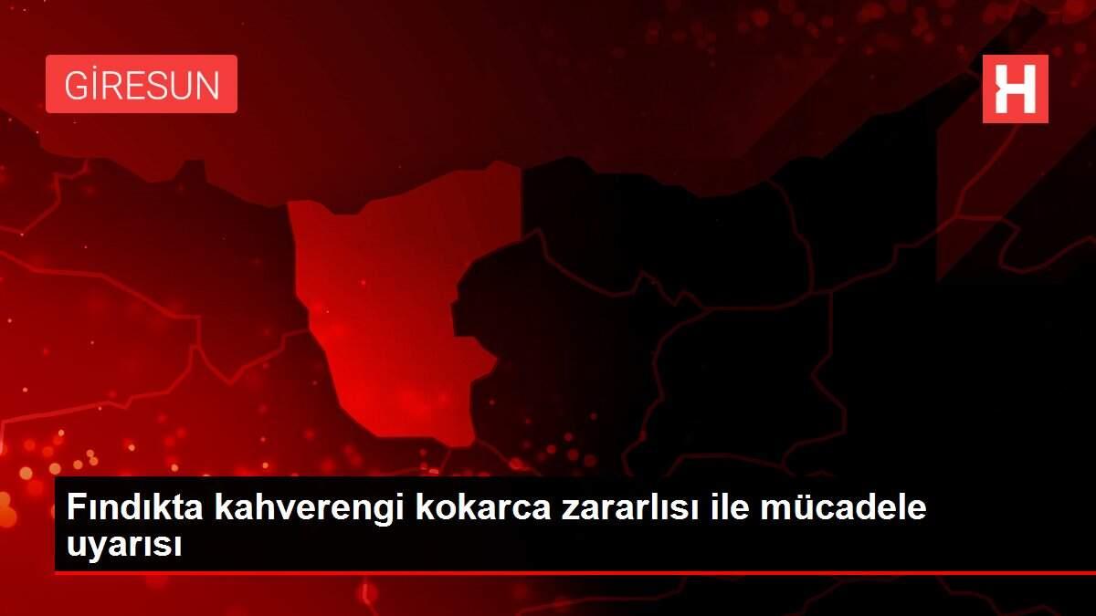 Fındıkta kahverengi kokarca zararlısı ile mücadele uyarısı