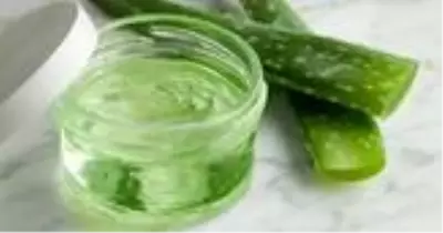 Güneş yanıklarına doğal çözüm var mı? Aloe vera ile nasıl güneş yanıkları giderilir? Güneş yanıklarına doğal çözüm var mı? Aloe vera ile nasıl güneş yanıkları giderilir?