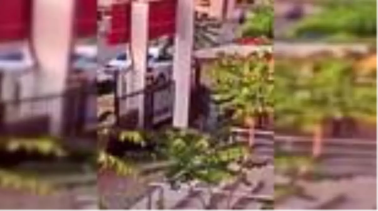 İZMİR Hindistan karantinası beş kadının dostluğuyla son buldu