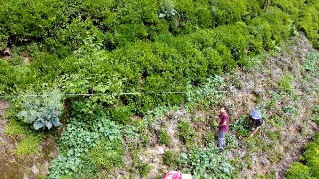 Rizeli muhtar, köyde yaşayanlara drone ile maske dağıtıyor