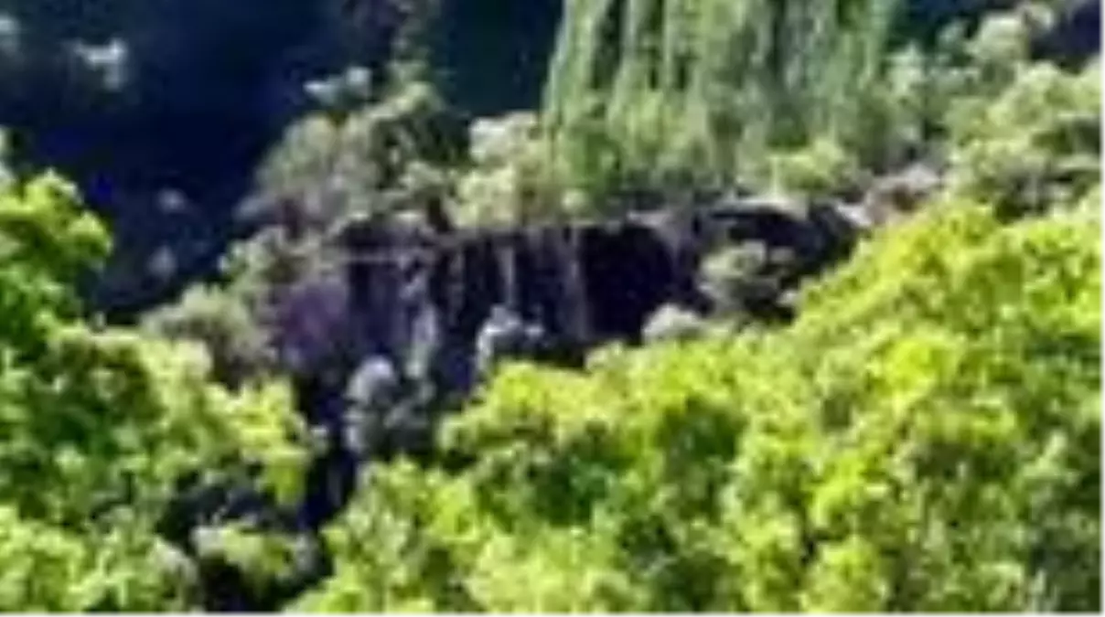 Şemdinli'de terörle mücadele