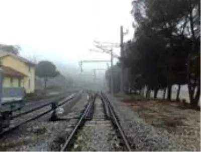 TCDD'den ilaçlama uyarısı TCDD'den ilaçlama uyarısı