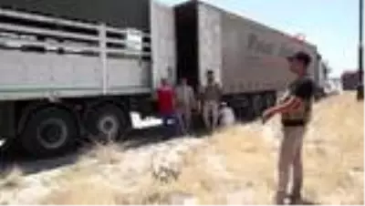 - TİKA'dan Irak'ta 5 bin aileye gıda yardımı - TİKA'dan Irak'ta 5 bin aileye gıda yardımı