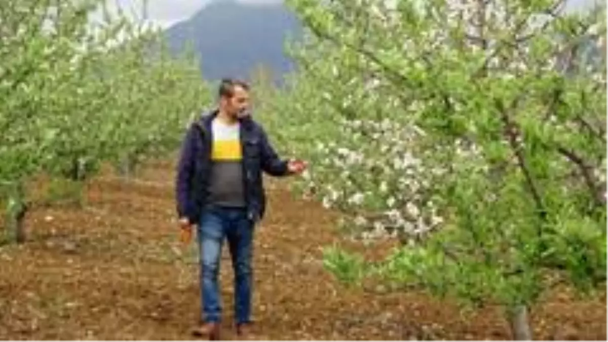 Tufanbeyli'den üretime destek