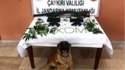 Akaryakıt istasyonuna 'uyuşturucu' operasyonu: 2 gözaltı