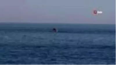 Antalya'da karada başlayan normalleşme denizde devam ediyor Antalya'da karada başlayan normalleşme denizde devam ediyor