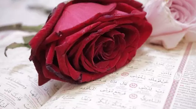 Aydın iftar saati: 15 Mayıs 2020 Cuma Aydın İftar vakti (2020 Ramazan İmsakiyesi) Aydın iftar saati kaç? Aydın iftar vakti nedir? Aydın iftar saati: 15 Mayıs 2020 Cuma Aydın İftar vakti (2020 Ramazan İmsakiyesi) Aydın iftar saati kaç? Aydın iftar vakti nedir?