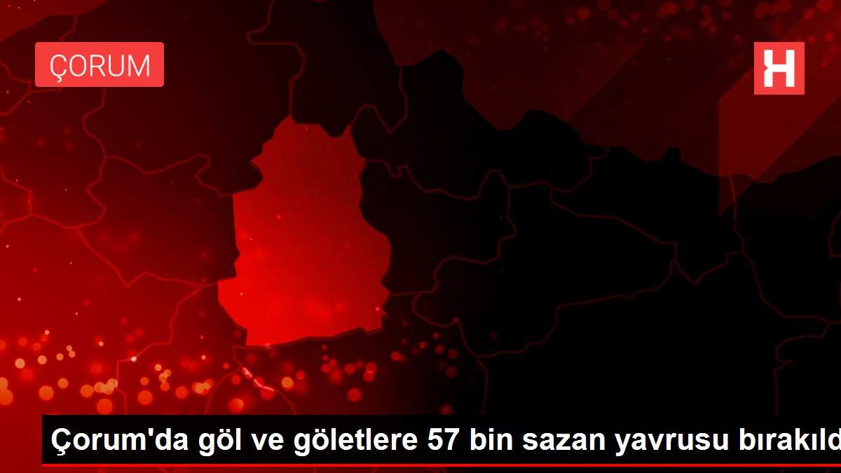 Çorum'da göl ve göletlere 57 bin sazan yavrusu bırakıldı