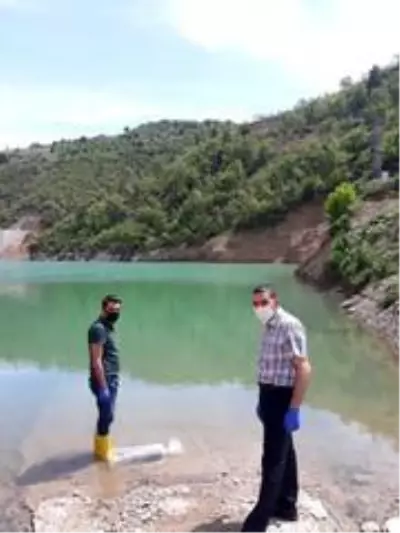 Çorum'daki göletlere balık bırakıldı Çorum'daki göletlere balık bırakıldı