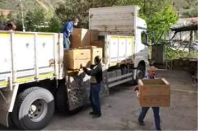 Gümüşhane'de çiftçilere 283 bin adet sebze fidesi dağıtıldı Gümüşhane'de çiftçilere 283 bin adet sebze fidesi dağıtıldı