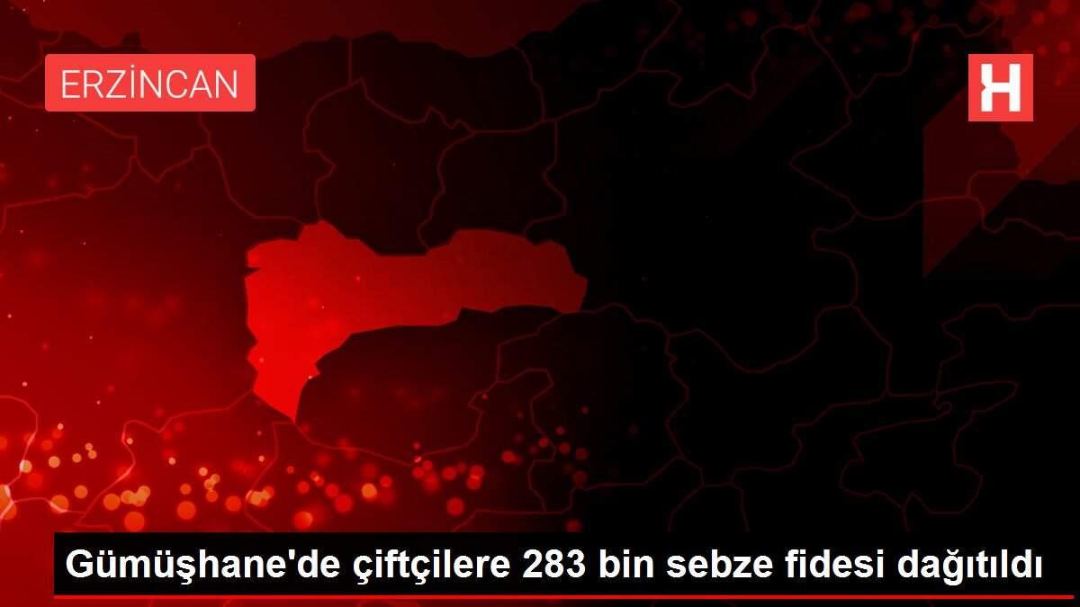 Gümüşhane'de çiftçilere 283 bin sebze fidesi dağıtıldı