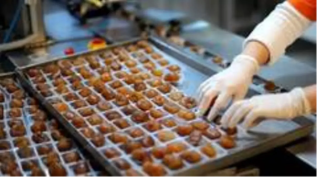 Kardelen yeniden üretime başladı