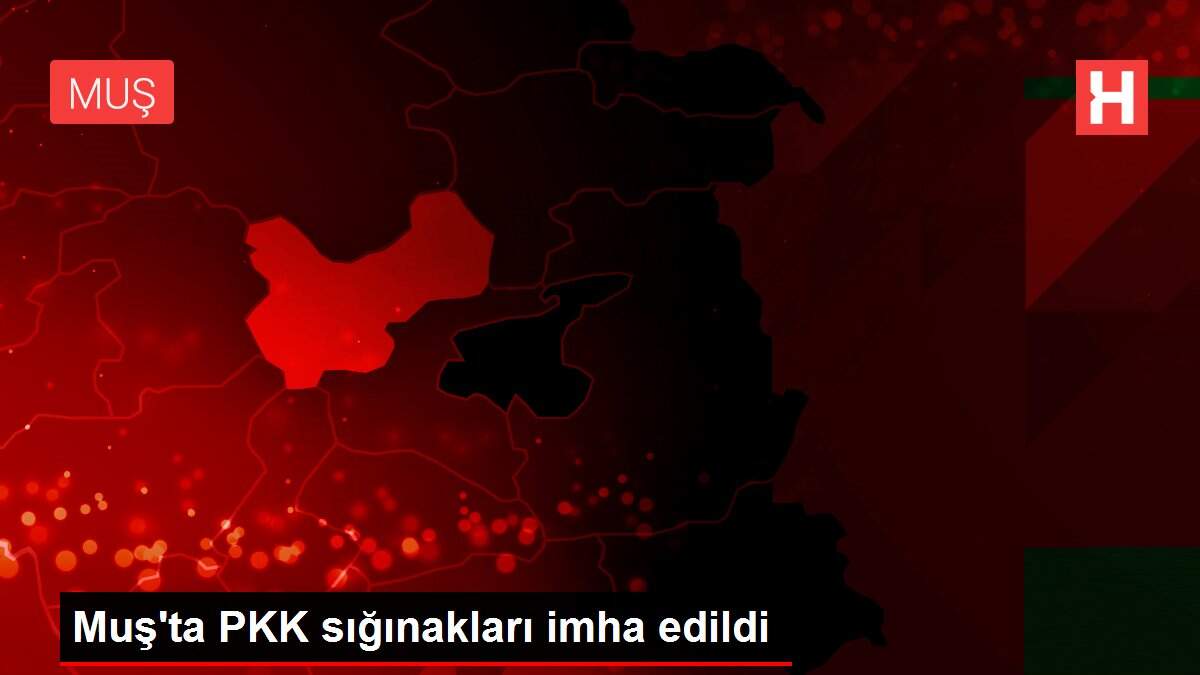 Muş'ta PKK sığınakları imha edildi
