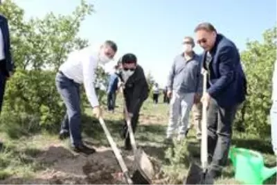Nevşehir'de yeni doğan ve vefat edenler için 600 fidan dikildi Nevşehir'de yeni doğan ve vefat edenler için 600 fidan dikildi