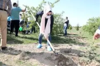 Nevşehir'de yeni doğan ve vefat edenler için 600 fidan dikildi Nevşehir'de yeni doğan ve vefat edenler için 600 fidan dikildi