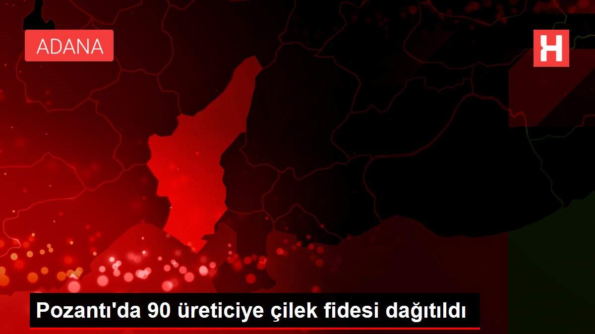 Pozantı'da 90 üreticiye çilek fidesi dağıtıldı